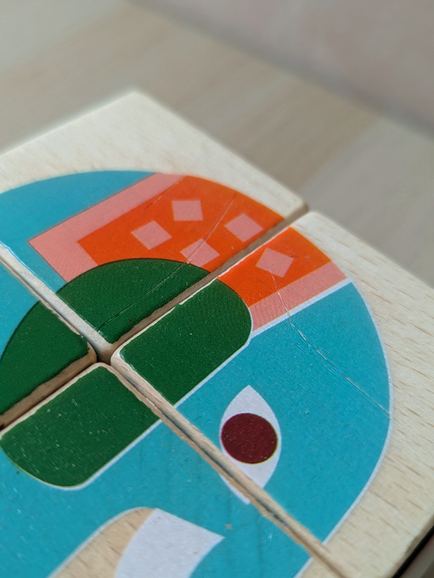 Wild Wonders Wooden Puzzle Cubes