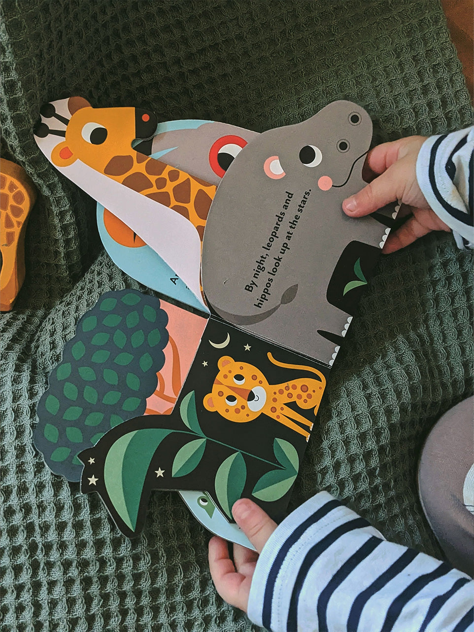 Safari gift box, age 1-2