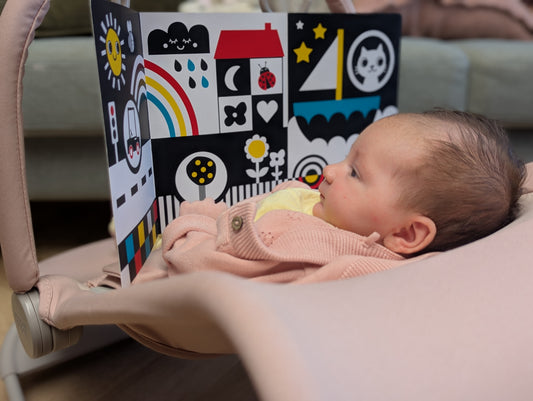 Story Shuffle: Newborn Sensory