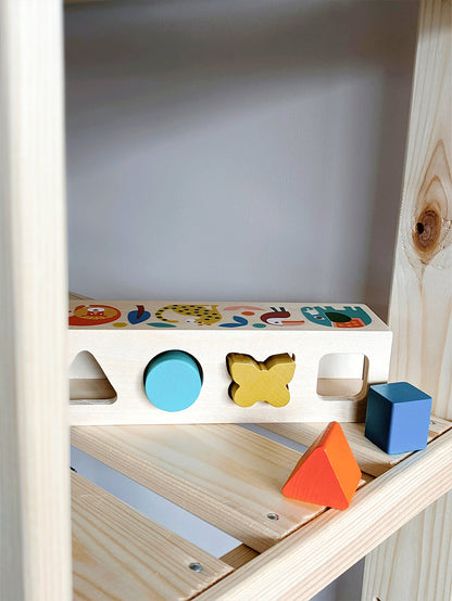 Wild Wonders Shape Sorter