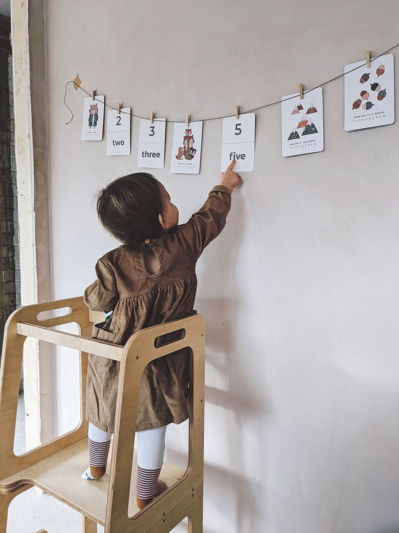 Woodland Number Flashcards